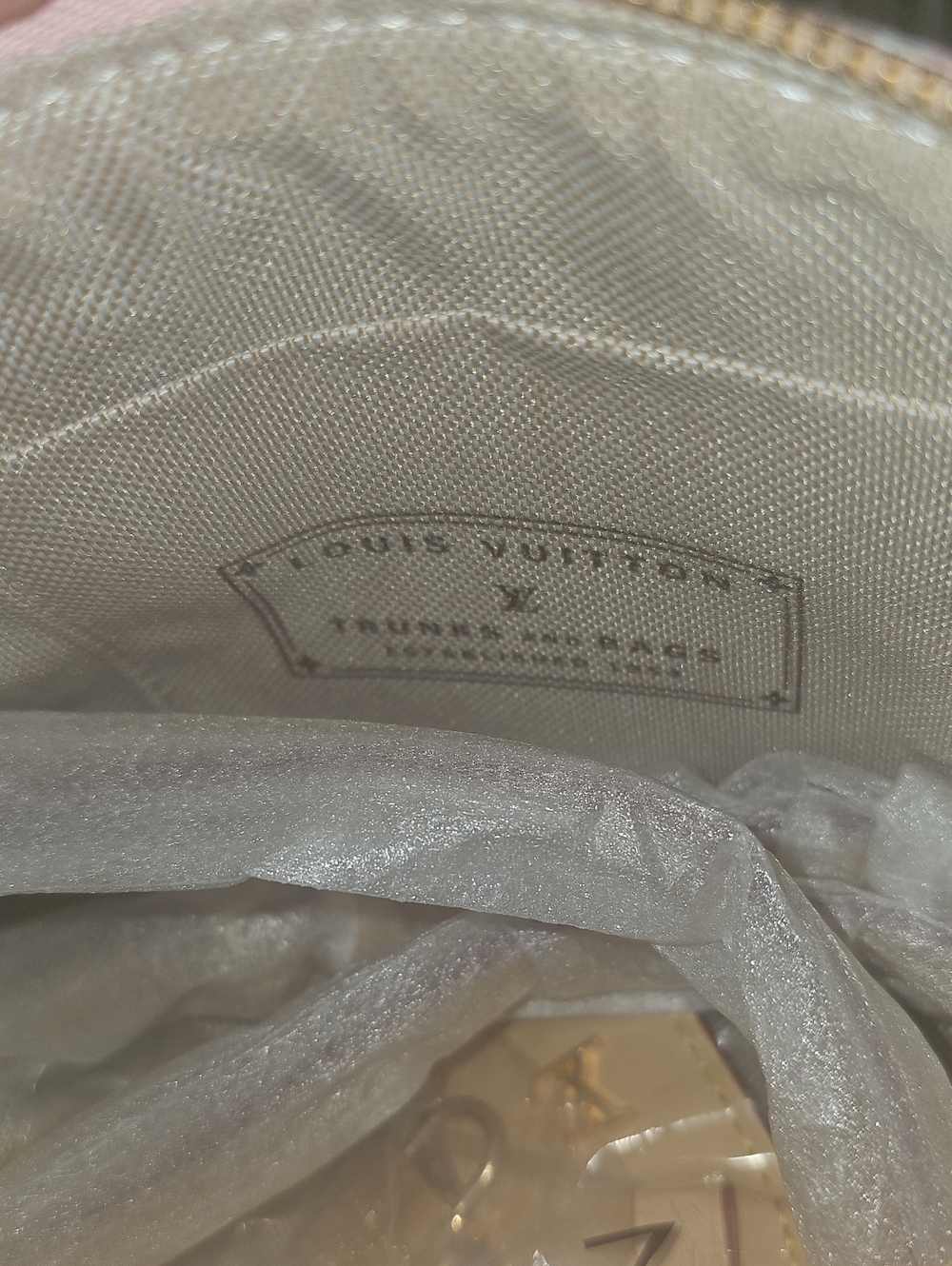 GORGEOUS PEUPLIER PINK SPEEDY SOFT BAG ๐ฉท๐๐ - Picture 12 of 15